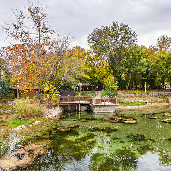 Polonezköy