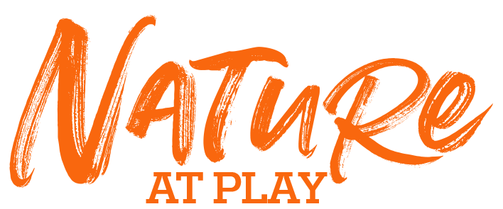 KALİFORNİYA DOĞASININ<br> İYİLEŞTİRİCİ ETKİSİYLE <br> YENİLENME ZAMANI.