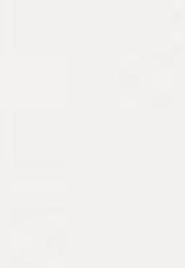 Erkek Beyaz Sweatshirt - 50187012001