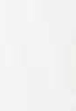 Beyaz Triko Hırka Basic - 50187230037