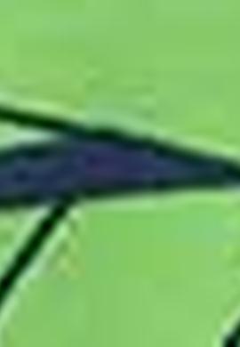 Erkek Lacivert Deniz Şortu - 50188863002