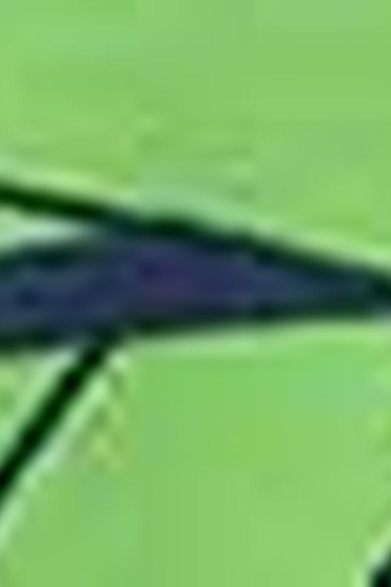 Erkek Lacivert Deniz Şortu - 50188863002