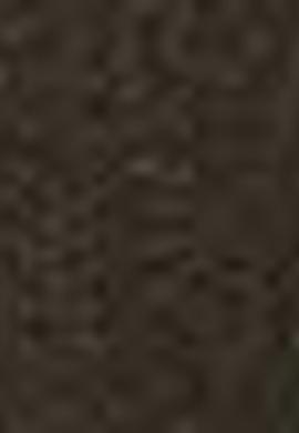 Yeşil Chinos - 50193582013