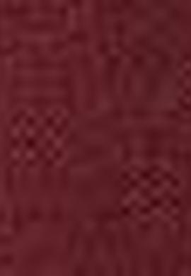 Erkek Bordo Kanvas Pantolon - 50193585073