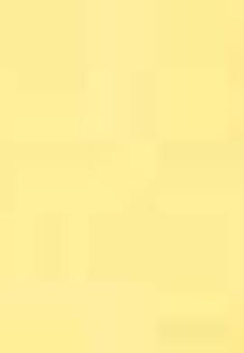 Çocuk Sarı Bisiklet Yaka Tişört - 50199111056