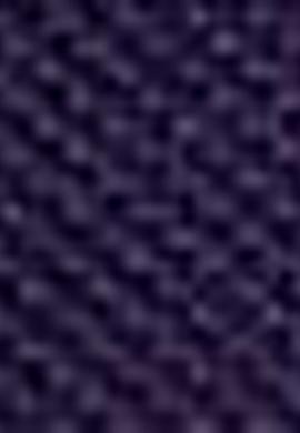 Erkek Çocuk Lacivert Polo Yaka Tişört - 50200243003