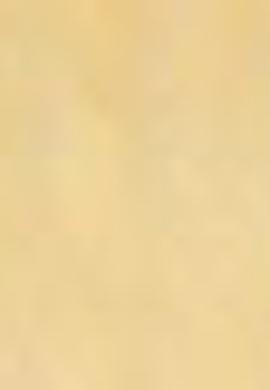 Çocuk Sarı Bisiklet Yaka Tişört - 50200249001