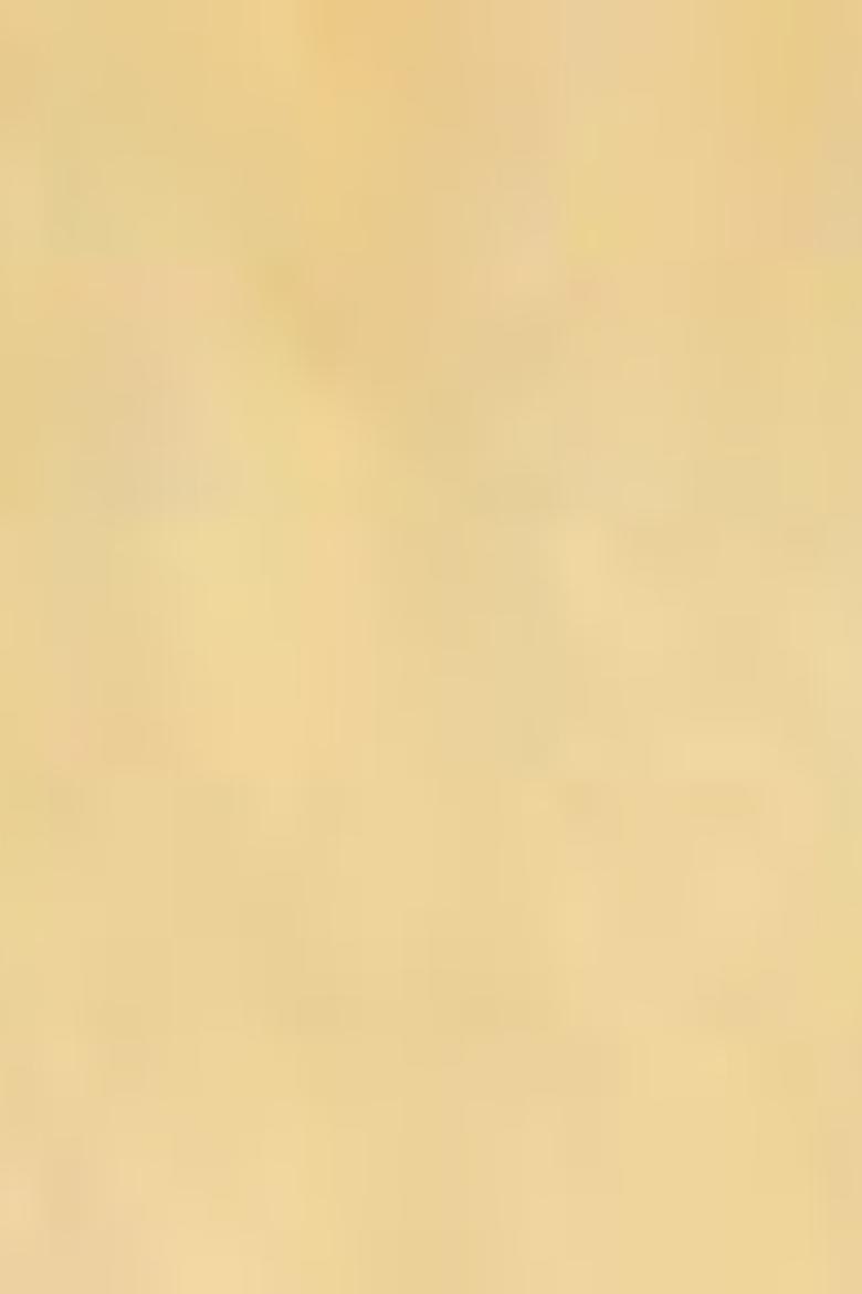 Çocuk Sarı Bisiklet Yaka Tişört - 50200249001