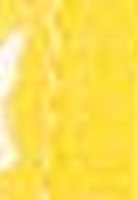 Erkek Çocuk Sarı Gömlek Kısakol - 50200289002