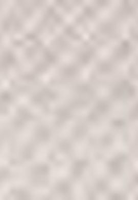 Beyaz T-Shirt - 50205084003