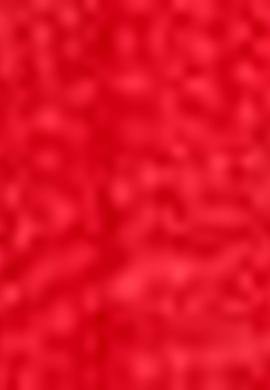 Kırmızı Yelek - 50205086007