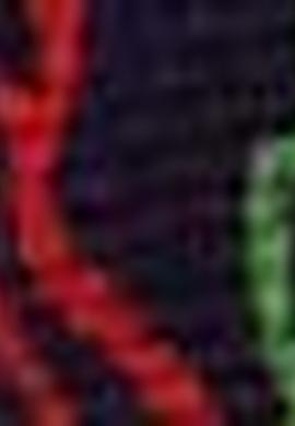 Erkek Çocuk Lacivert Polo Yaka Tişört - 50205317002