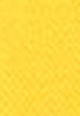 Erkek Sarı T-Shirt Basic - 50187334131