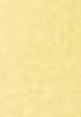 Sarı Slim Pantolon - 50187338094