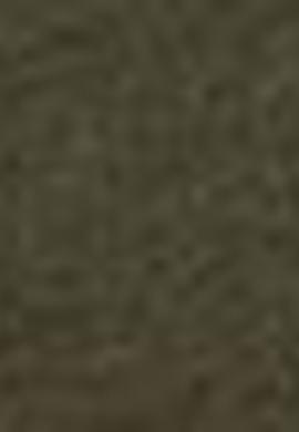 Yeşil Dokuma Bermuda Capri - 50187339072