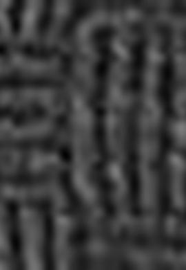 Erkek Siyah Standart Kazak - 50192677016