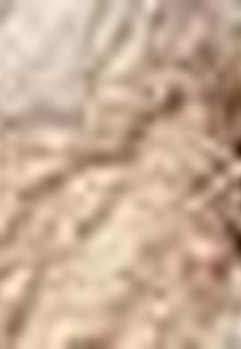 Beyaz Kaşkol - 50194526002