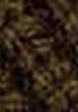 Erkek Haki Bere - 50194531003