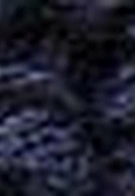 Erkek Lacivert Kaşkol - 50194537003