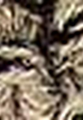 Erkek Gri Kaşkol - 50194537002