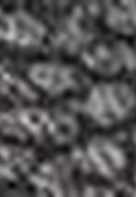 Erkek Siyah Bot - 50195672011