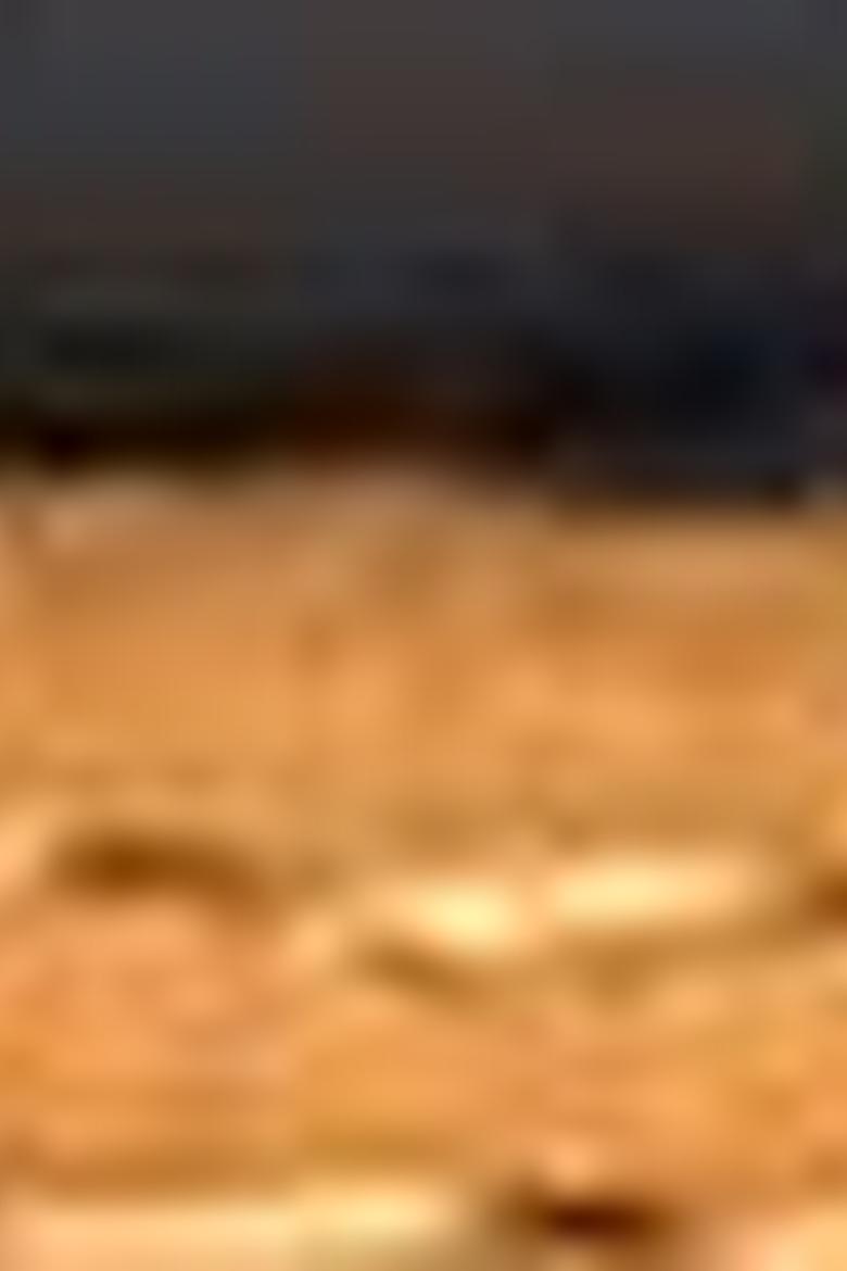 Erkek Sarı Bot - 50195676016