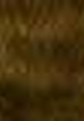 Erkek Çocuk Yeşil Chinos - 50198867070