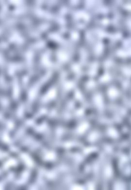 Erkek Lacivert Gömlek - 50199161029