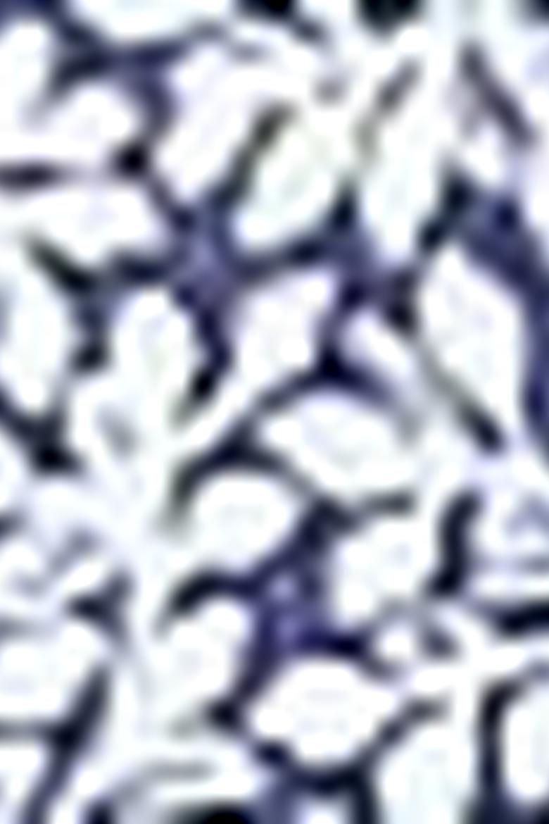 Erkek Saks Uzun Kollu Gömlek - 50199162014