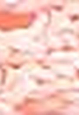 Kadın Pembe Ayakkabı - 50199181027