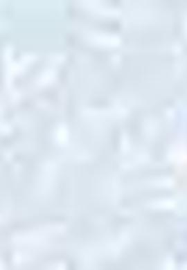 Kadın Mavi Gömlek Uzunkol - 50199215011