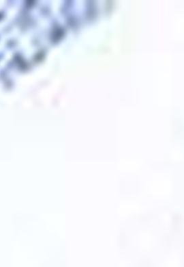 Kadın Ekoseli Beyaz Gömlek Uzunkol - 50199217018