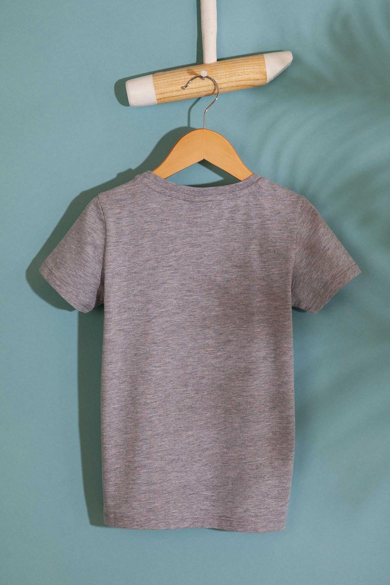 Erkek Çocuk Gri Bisiklet Yaka Tişört - 50199219001