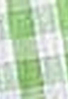 Erkek Yeşil Gömlek Uzunkol - 50199500022