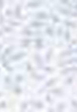 Kadın Mavi Gömlek Uzunkol - 50199612014