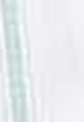 Kadın Yeşil Gömlek Uzunkol - 50199615002