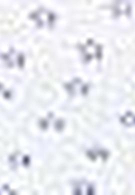 Kadın Mavi Gömlek Uzunkol - 50199641010