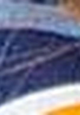 Kadın Lacivert Gömlek Uzunkol - 50199655002