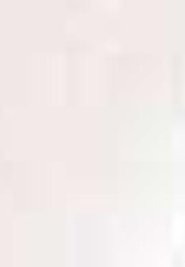 Kadın Pembe Gömlek Uzunkol - 50199655012