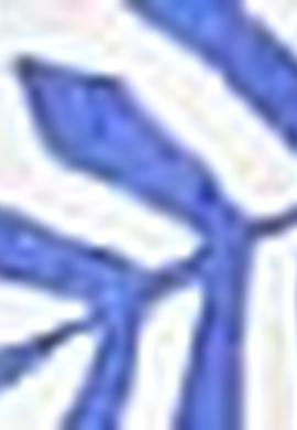 Kadın Mavi Gömlek Uzunkol - 50199659010