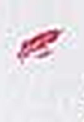 Erkek Beyaz Tişört - 50199677001