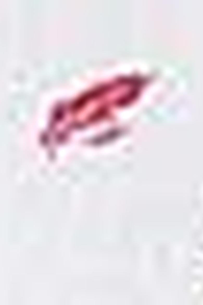 Erkek Beyaz Tişört - 50199677001