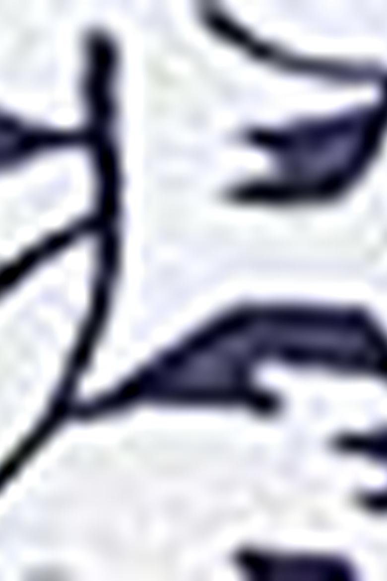 Erkek Lacivert Polo Yaka T-Shirt - 50199679013