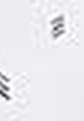 Erkek Beyaz Polo Yaka T-Shirt - 50199688004