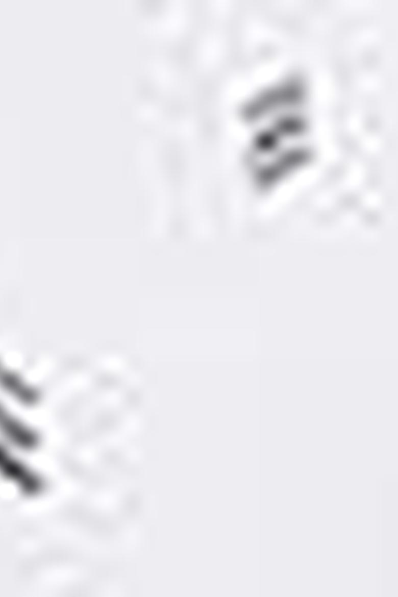 Erkek Beyaz Polo Yaka T-Shirt - 50199688004