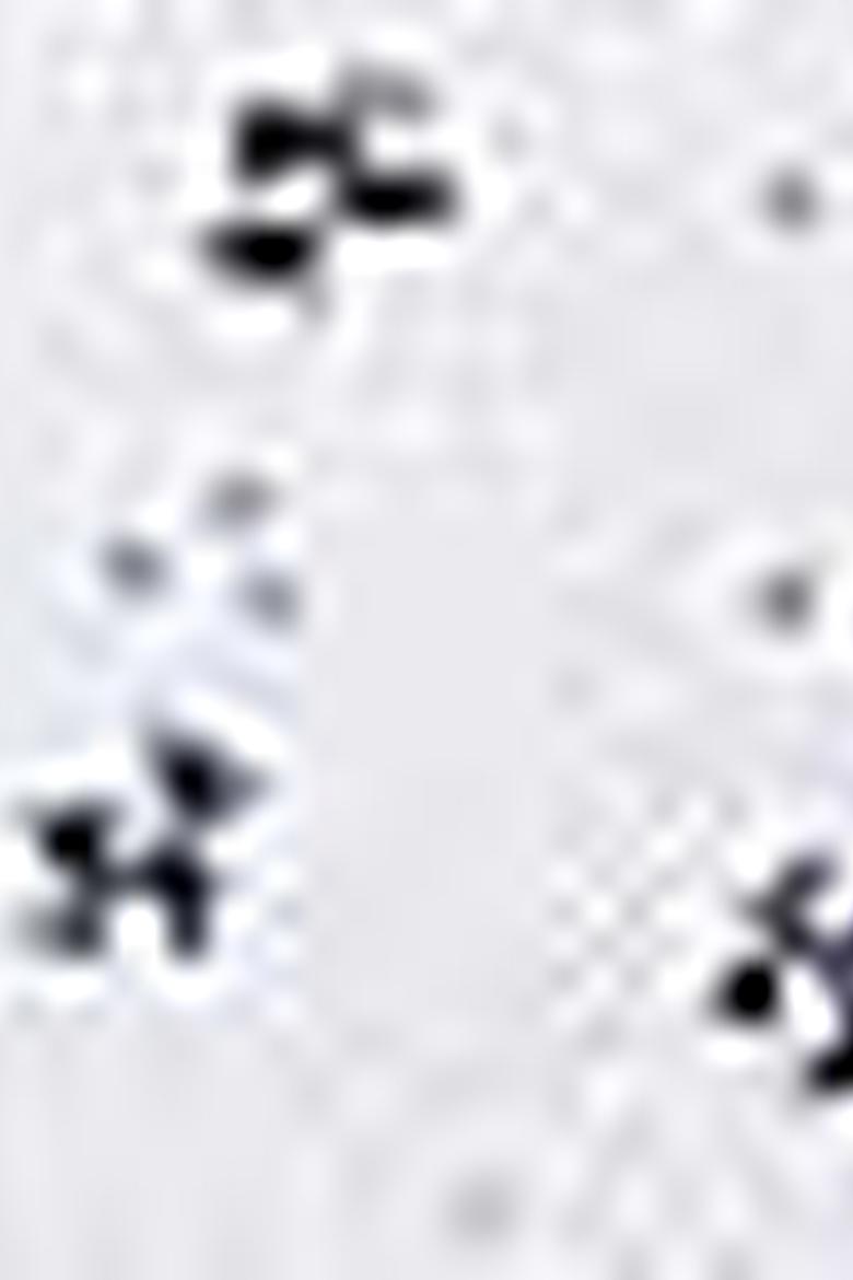 Erkek Beyaz T-shirt - 50199692001