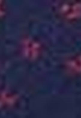 Erkek Lacivert T-shirt - 50199692014