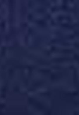 Erkek Lacivert Bisiklet Yaka T-Shirt - 50199703026