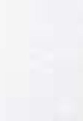 Erkek Beyaz Basic Tişört - 50199830006