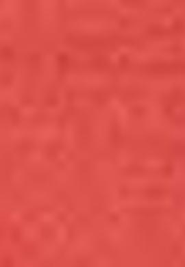 Erkek Nar Çiçeği Bisiklet Yaka T-Shirt Basic - 50199830013